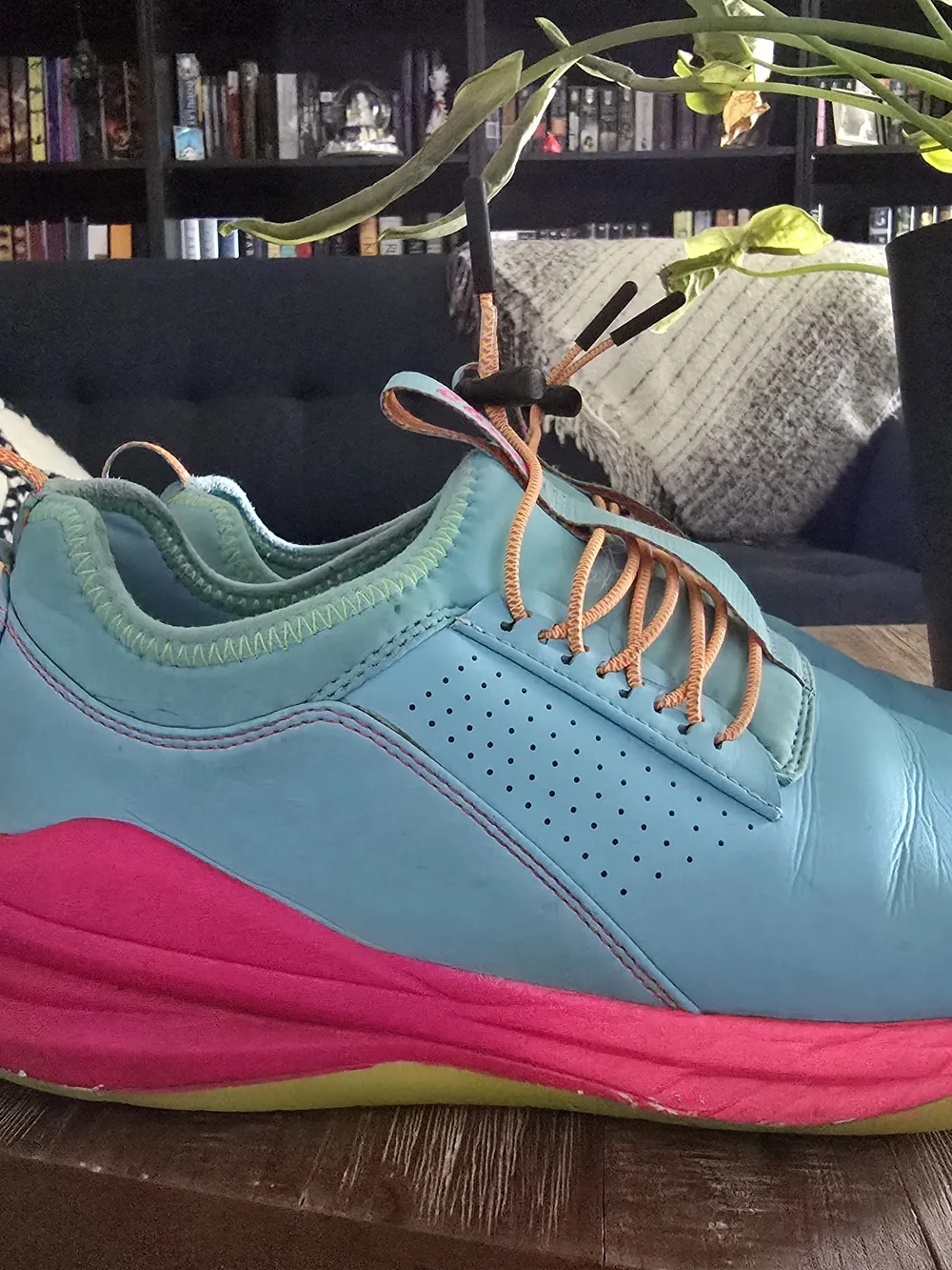 Clove Classic Sneakers - 